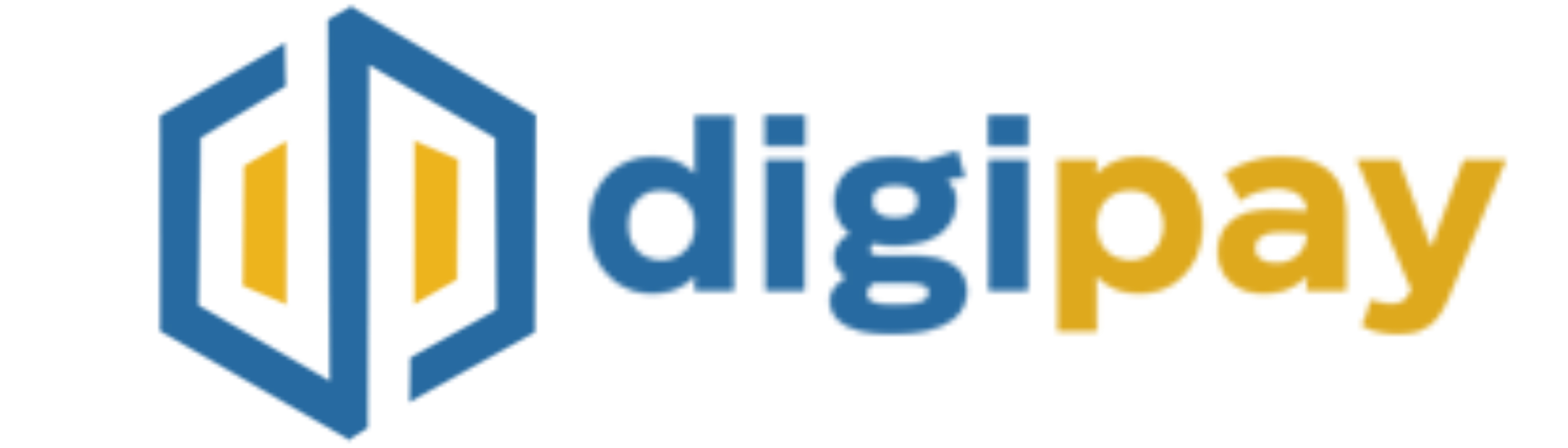 Icon digipay